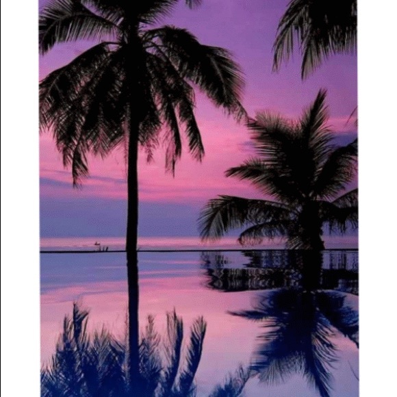 Meet your Posher, Ana - Picture 1 of 1